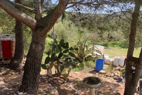 Landejendom i Tortosa, Tarragona, Tortosa - € 139.000 | Ref: Tor9079fra - foto 18